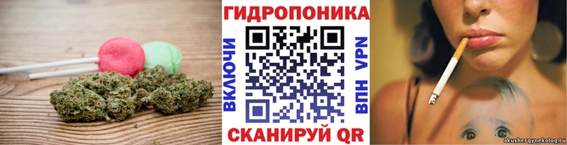 Canna-Cookies марихуана  где купить   Долгопрудный 
