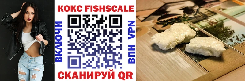ссылка на мегу зеркало  Долгопрудный  COCAIN Fish Scale  наркотики 