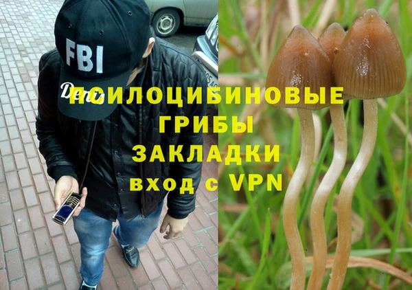 мескалин Арсеньев
