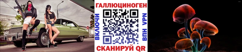 блэк спрут ТОР  Долгопрудный  Галлюциногенные грибы прущие грибы  сколько стоит 