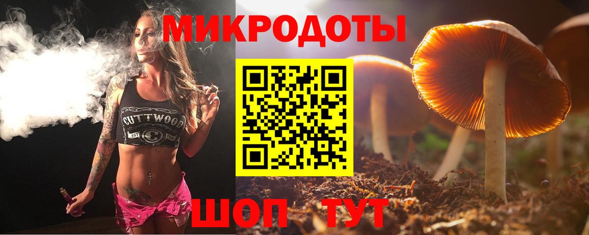 Долгопрудный  цены   Вход с VPN  Псилоцибиновые грибы мухоморы  Псилоцибиновые грибы мухоморы 